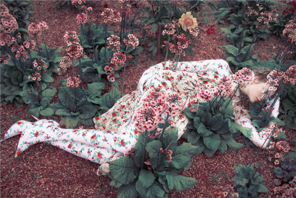 手機卷影像有意思嗎？華為：有！還能再上個新高度