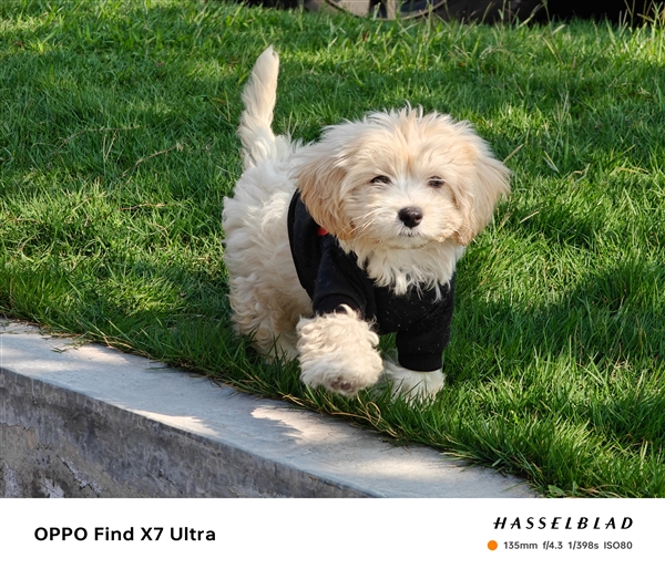 影像教科書！OPPO Find X7 Ultra霸榜DXO：遙遙領(lǐng)先
