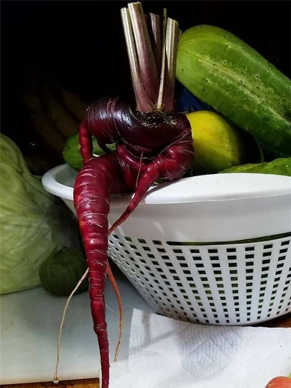 植物竟然長出了屁股！這20個妖嬈身材讓我有點羨慕