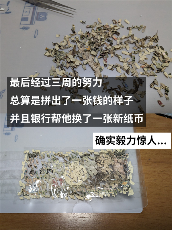 一萬日元碎成殘渣后：被日本網(wǎng)友硬生生拼了回來！