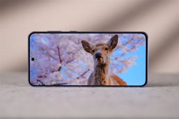 千元機皇 小8Gen3+1.5K直屏+5500mAh大電池 有點香啊！