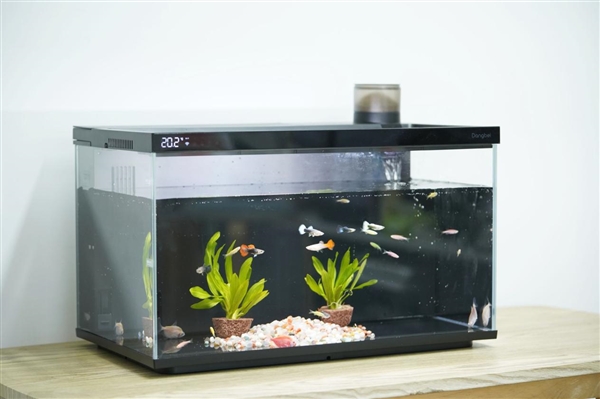 599元懶人養(yǎng)魚利器！當(dāng)貝智能魚缸1 Ultra圖賞