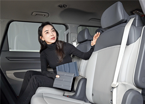 韓國(guó)人為何不買特斯拉了？