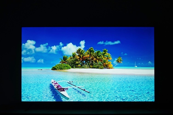 392背光分區(qū)同級(jí)無(wú)敵！小米電視S65 Mini LED圖賞