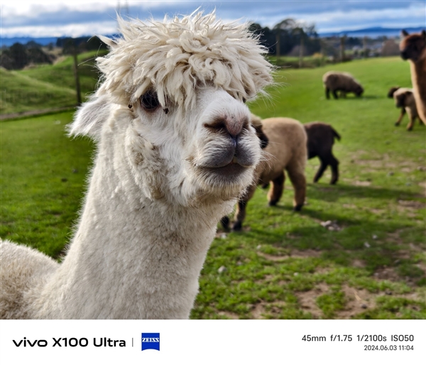 vivo X100 Ultra上手：今年最全能的影像滅霸旗艦