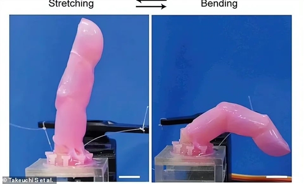 日本機器人有了“媽生臉”：活生生的會笑 但真的好詭異