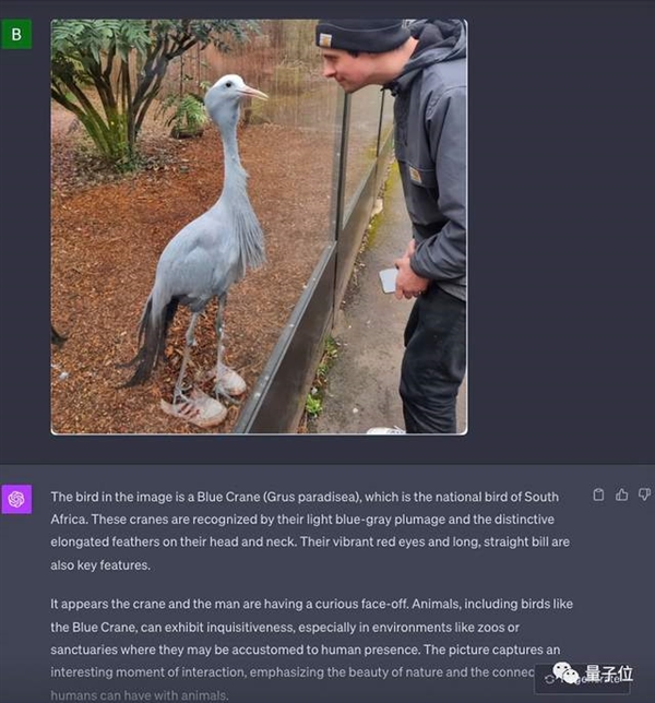 大跌眼鏡！GPT-4V錯(cuò)覺(jué)挑戰(zhàn)實(shí)錄：該錯(cuò)的沒(méi)錯(cuò) 不該錯(cuò)的反而錯(cuò)了