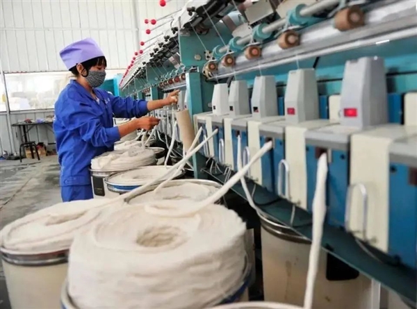 快被中國(guó)拋棄的農(nóng)作物黃麻 卻被印度當(dāng)作寶！養(yǎng)活印度400多萬(wàn)人