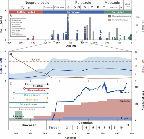 世界大懸案破解！我國科學(xué)家重大發(fā)現(xiàn)！寒武紀(jì)生命大爆發(fā)的關(guān)鍵因素揭曉