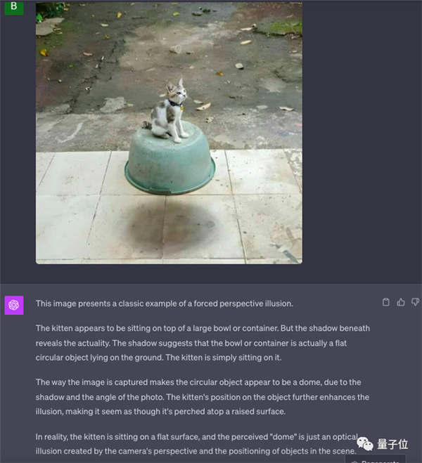 大跌眼鏡！GPT-4V錯(cuò)覺(jué)挑戰(zhàn)實(shí)錄：該錯(cuò)的沒(méi)錯(cuò) 不該錯(cuò)的反而錯(cuò)了