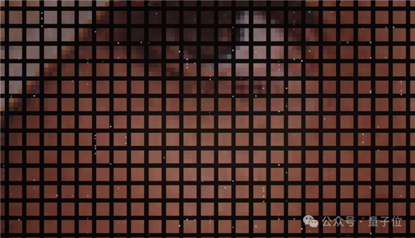 “計(jì)算機(jī)視覺(jué)女神”被IEEE期刊封殺