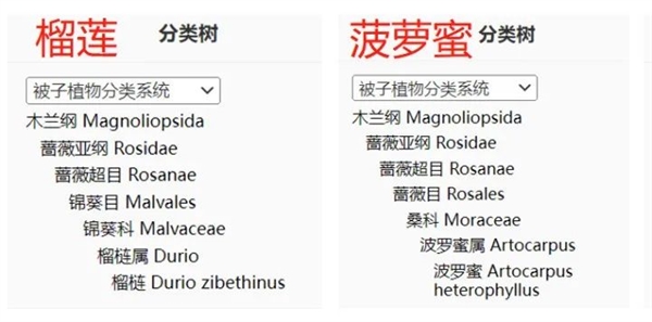 它的硒含量是蘋果41.7倍！可惜很多人都扔了