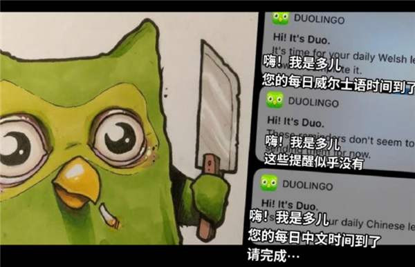 一個(gè)語言學(xué)習(xí)軟件 成為了年輕人日思夜想的電子寵物