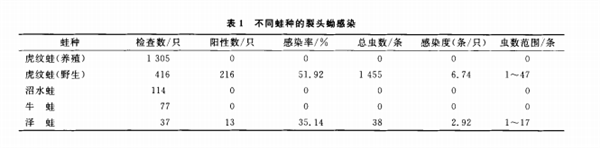 牛蛙能吃！牛蛙不能吃！到底聽誰的