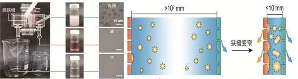 百年難題被攻克 一張神奇的膜成功實現(xiàn)水和油分離 