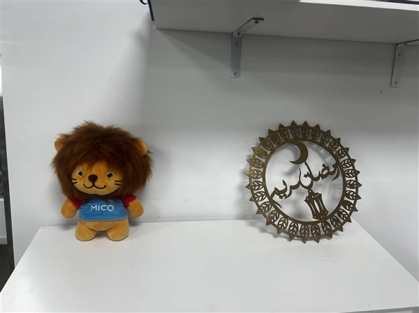 寂寞的中東土豪 成了中國公司的金礦