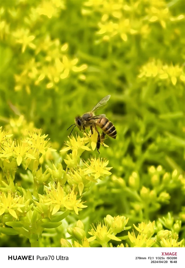 體驗了三天華為Pura 70 Ultra 我明白了為啥P系列要改名