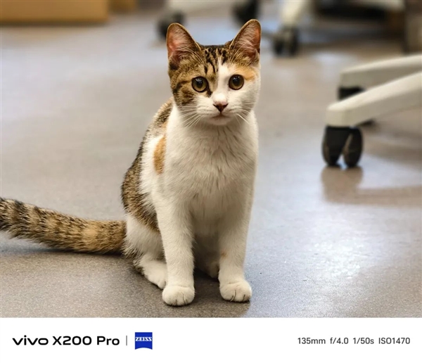 用了幾天vivo X200 Pro：我感覺友商壓力有點(diǎn)大啊
