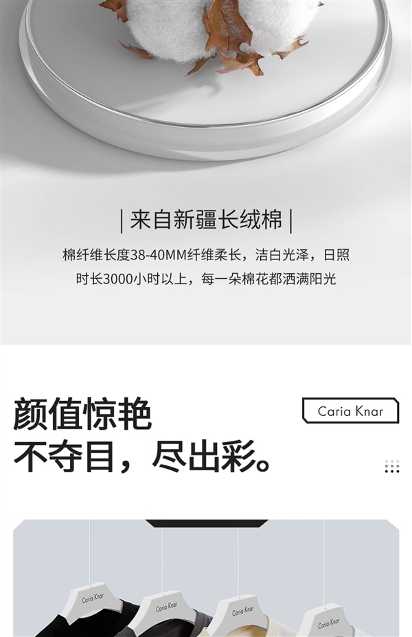 19.99元包郵：新疆棉230g重磅短袖T恤狂促（110元大額券）