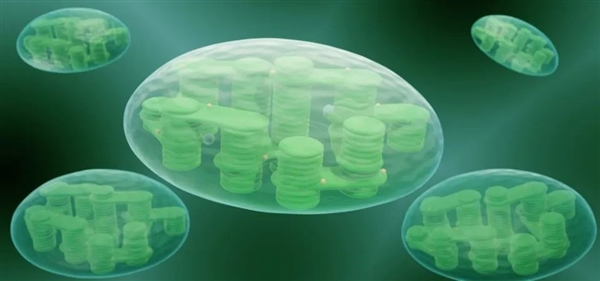 地球最早誕生的生命：光合作用都不存在 它們吃什么呢？