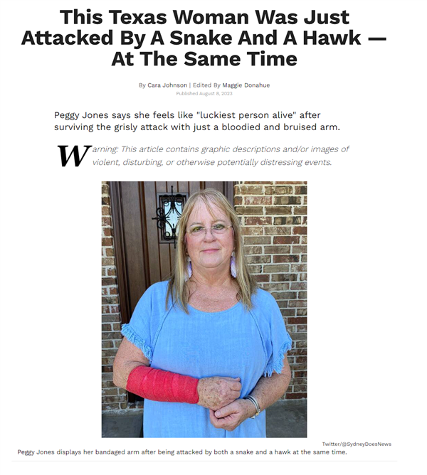奇聞！一女子被從天而降的蛇和老鷹襲擊：手臂嚴(yán)重受傷