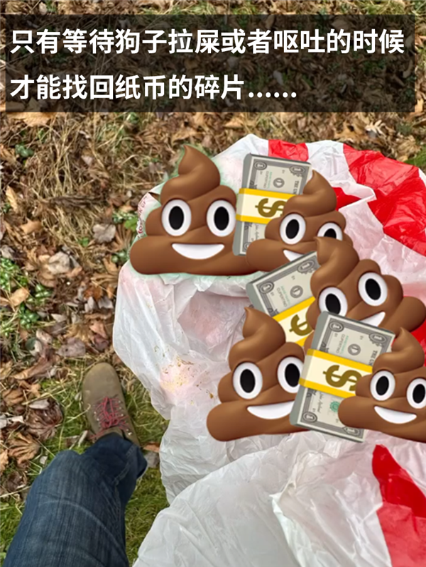 一萬日元碎成殘渣后：被日本網(wǎng)友硬生生拼了回來！