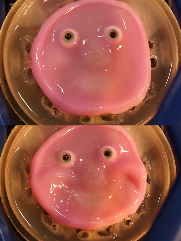 還得是日本！給機(jī)器人做了一張“人皮”：這鬼畜微笑過于瘆人