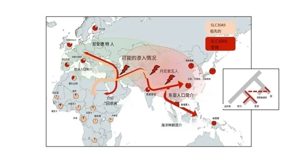狂野的原始人：隨意與其它人種交配 坑苦了現(xiàn)代人的健康