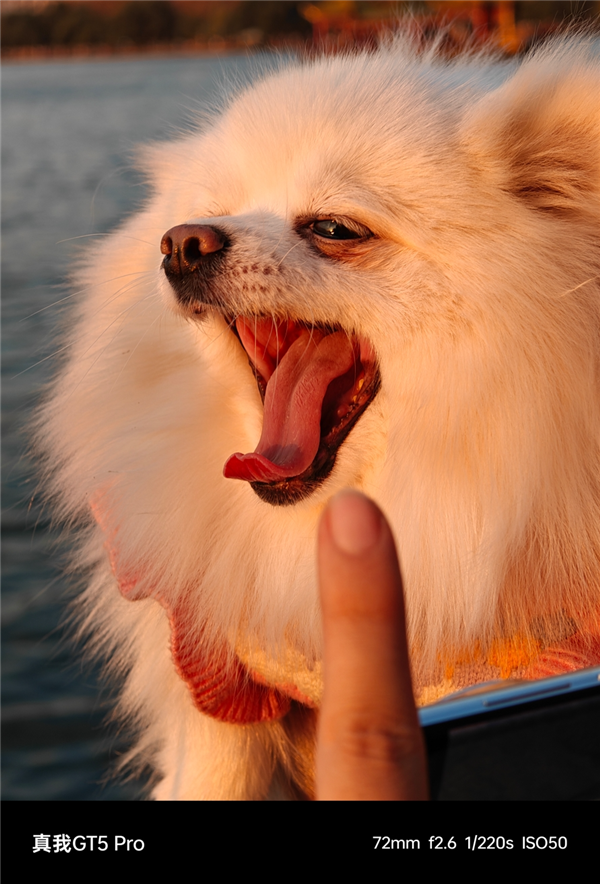 3298元的真我GT5 Pro 怕是把友商全整不會(huì)了。。。