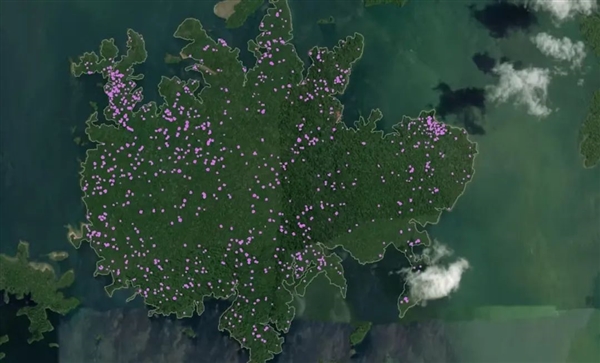 人的大腦為何如此巨大？原來不是為了吃