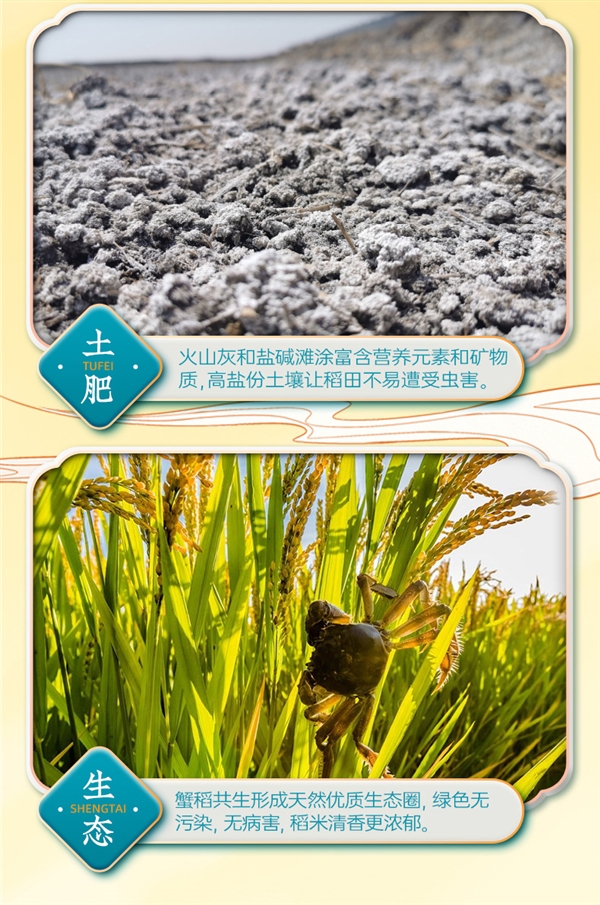 京東同款69元！隆平農(nóng)場東北晶米10斤再發(fā)車：券后39.9元