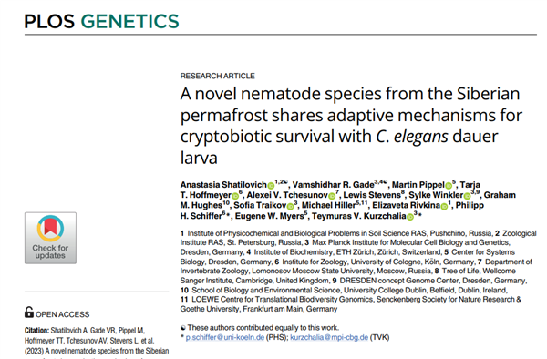 永生真能實現(xiàn)？西伯利亞凍土中沉睡4.6萬年的生物復蘇！