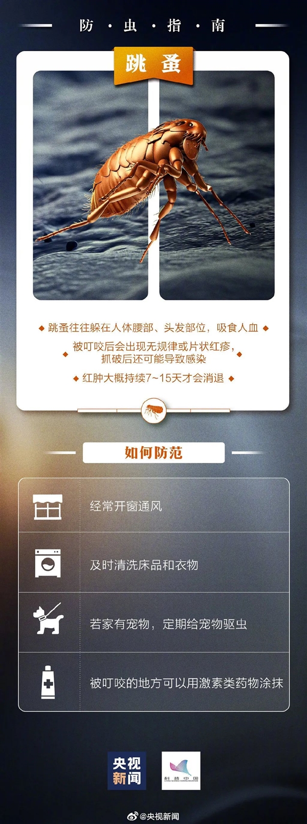 28歲歌手突然去世：只因被蜘蛛咬傷了臉！