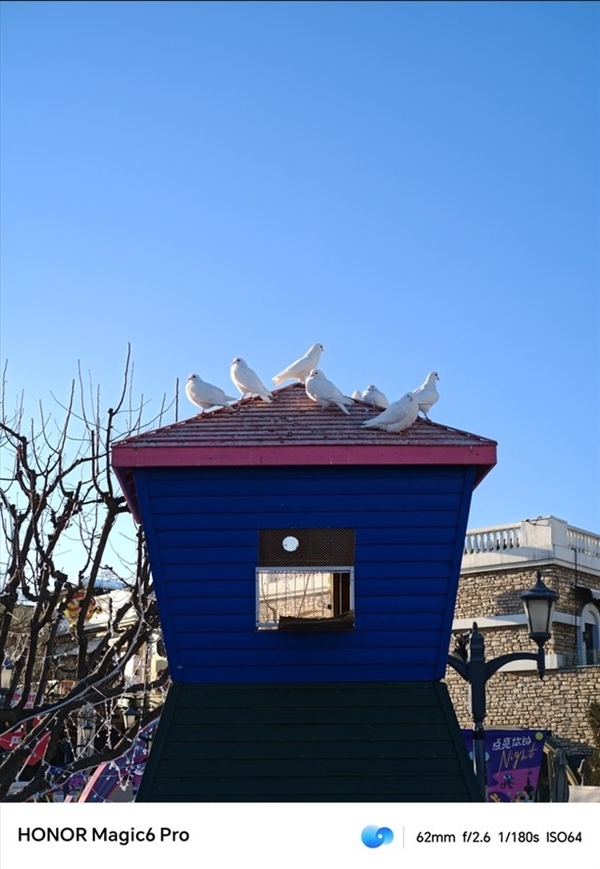 榮耀Magic6 Pro上手：比遙遙領(lǐng)先還要領(lǐng)先