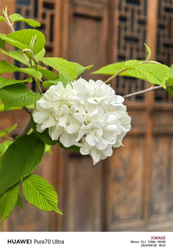 體驗了三天華為Pura 70 Ultra 我明白了為啥P系列要改名