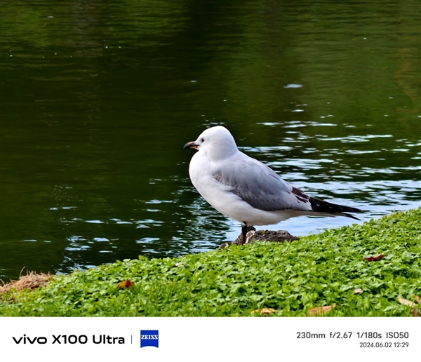 vivo X100 Ultra上手：今年最全能的影像滅霸旗艦