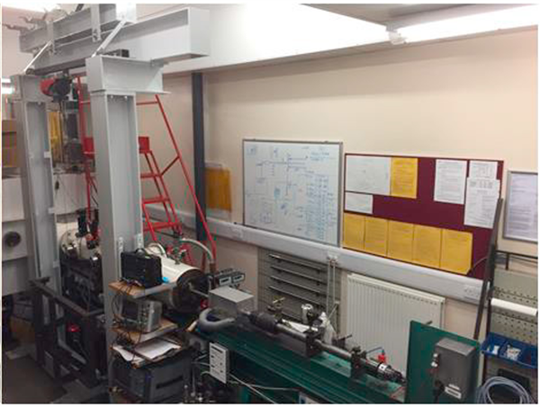 太空輻射都殺不死的生物：被人類終結(jié)了