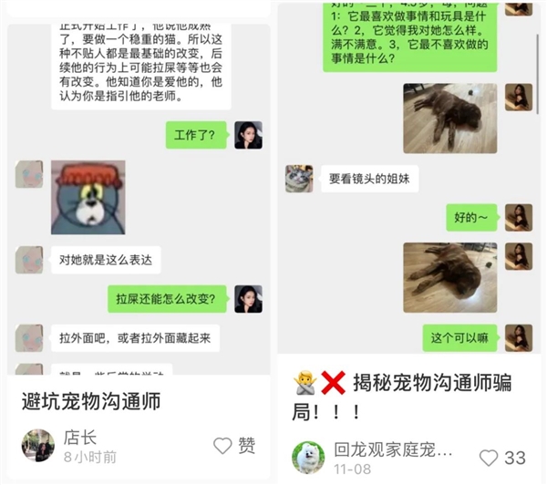 人類一直想搞懂的動物語言 現(xiàn)在終于有希望了