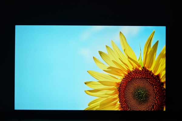 392背光分區(qū)同級(jí)無(wú)敵！小米電視S65 Mini LED圖賞