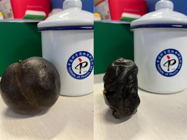 爾濱凍梨又黑又甜 為啥你冰箱凍出來的是壞的