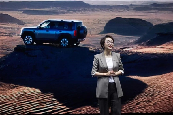 提車2天 暴降5萬：方程豹車主們出離憤怒了