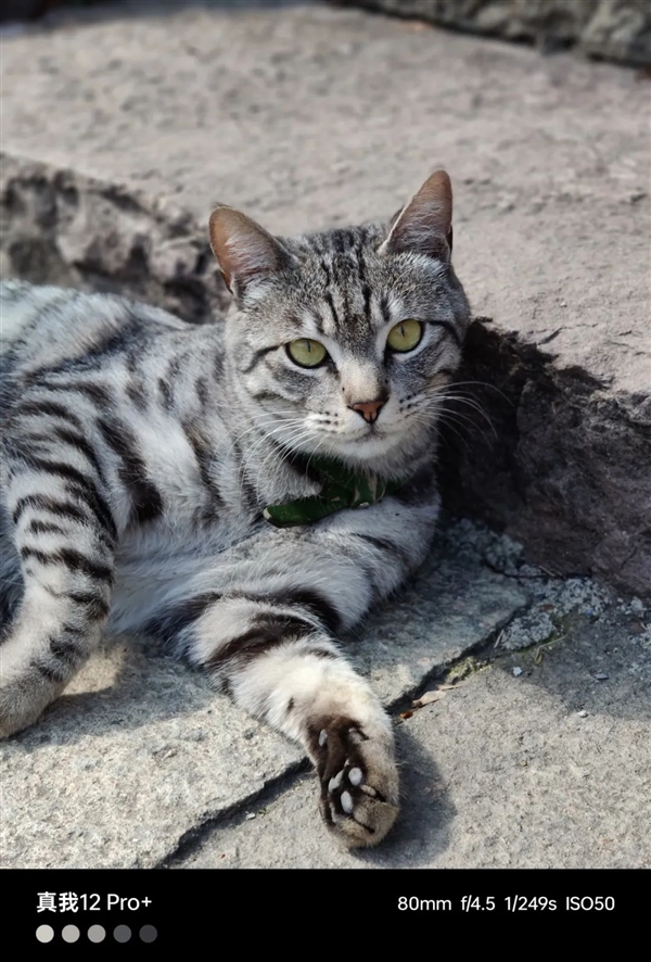 那些割韭菜的千元機(jī) 馬上就要被扔進(jìn)歷史的垃圾堆了