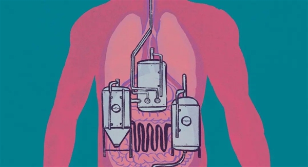 誰(shuí)能想到鳥也能喝醉：差點(diǎn)命都沒了