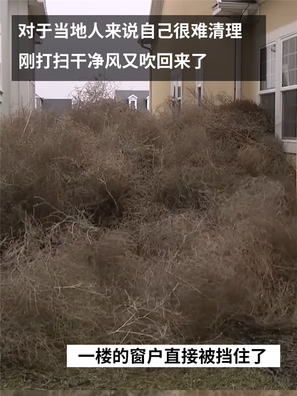 一覺(jué)醒來(lái)美國(guó)猶他州的房屋被草淹了！