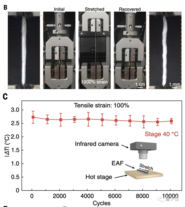 浙大“北極熊毛衣”登Science：保溫效率達(dá)羽絨服5倍