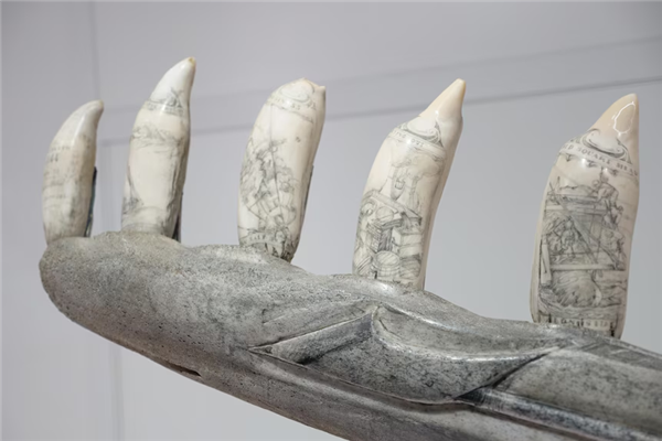 撿了10根動(dòng)物骨頭：澳大利亞2名男子差點(diǎn)進(jìn)去