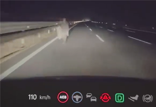 行人凌晨高速路上逆行 理想汽車AEB立功：救了兩個(gè)家庭