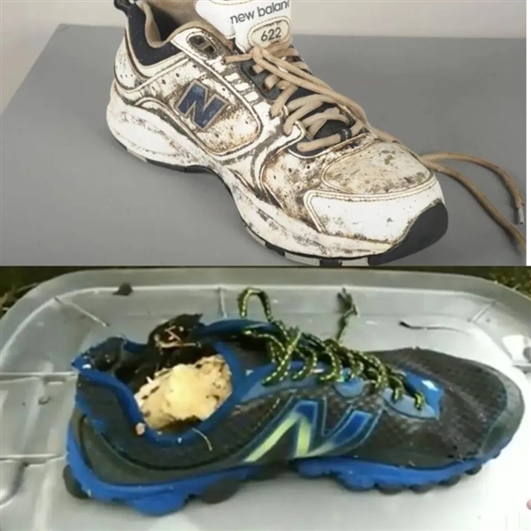 30個(gè)陰森娃娃、8個(gè)穿鞋斷腳：美國(guó)海灘為啥這么多詭異東西