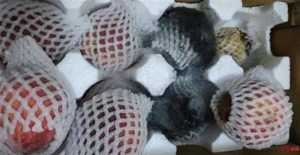 董宇輝被抖音造神 該讓東方甄選降降溫了