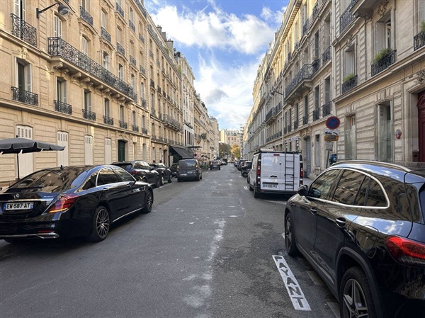 中國汽車 還能稱霸法國車市嗎